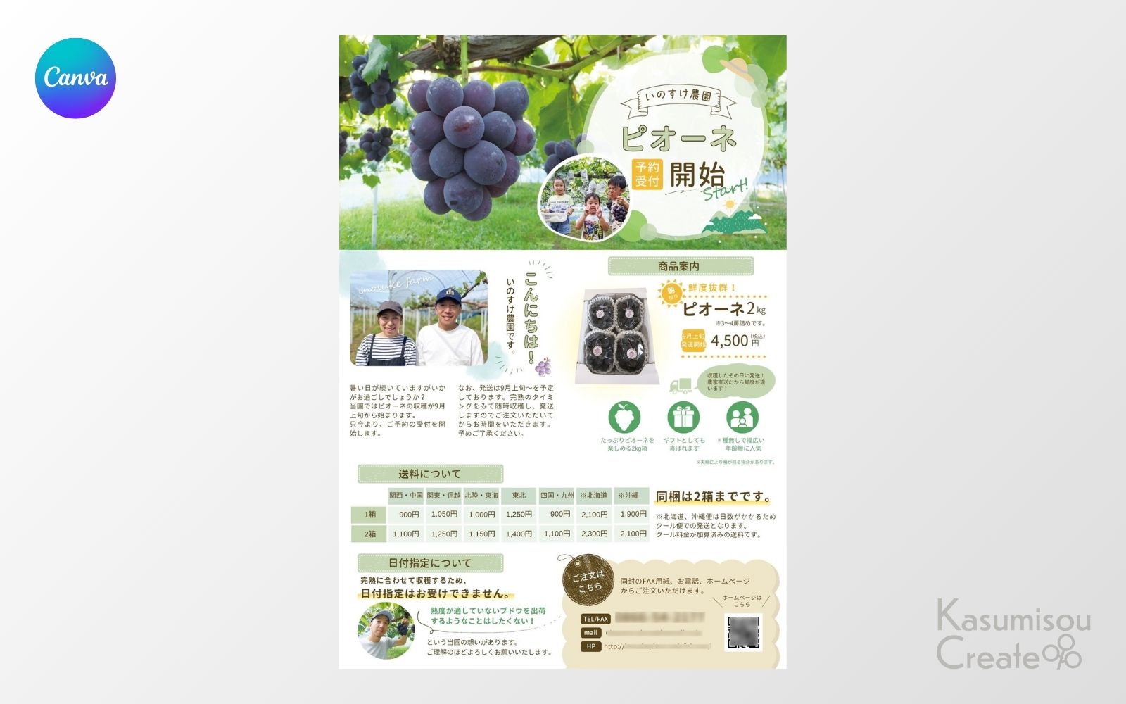 ブドウ農家　パンフレット　商品案内　リーフレット